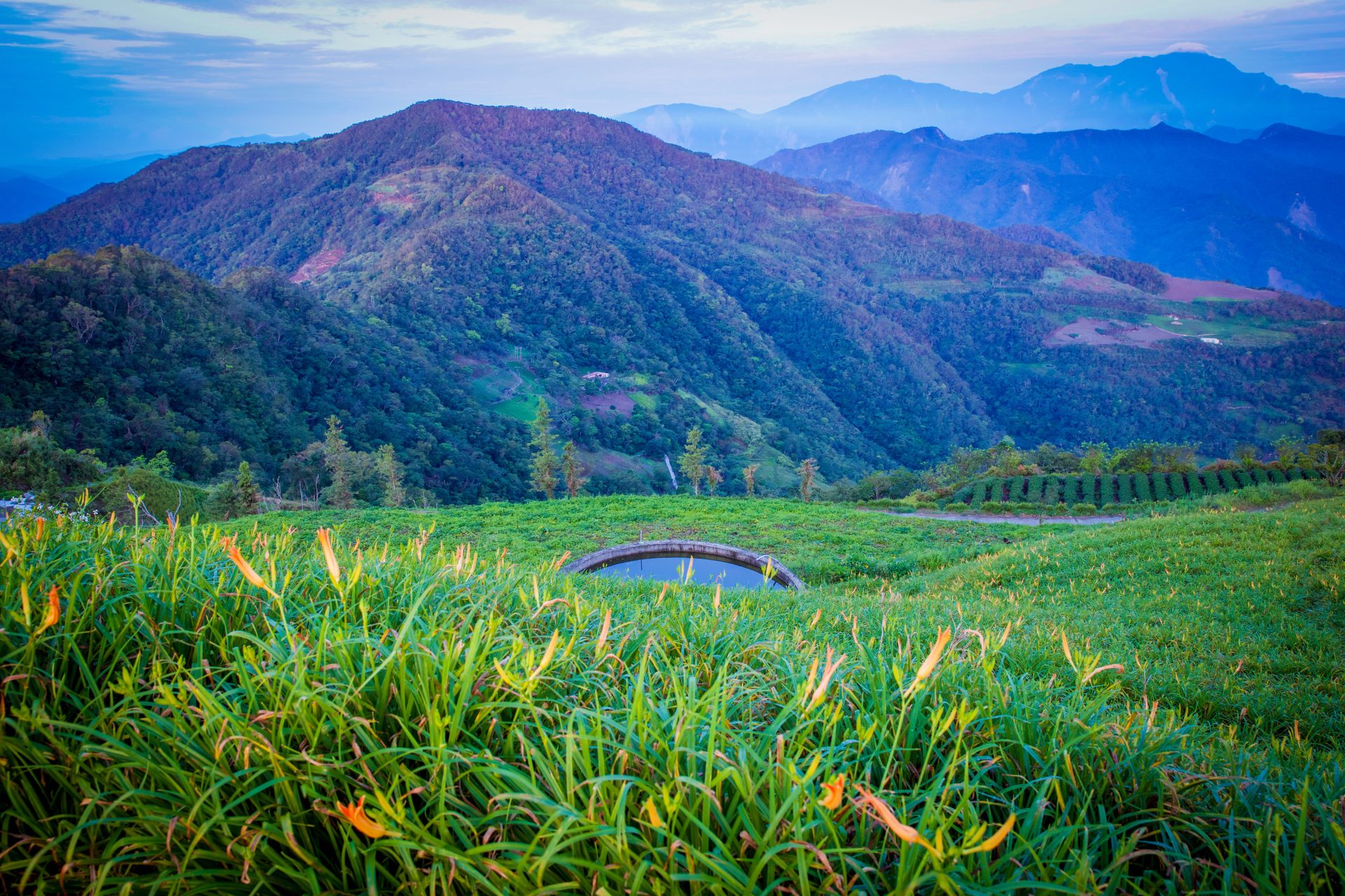 太麻里金针山]一日美人眷恋日出印象